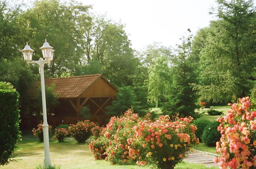 Villa Hedi Dunakiliti Exterior photo