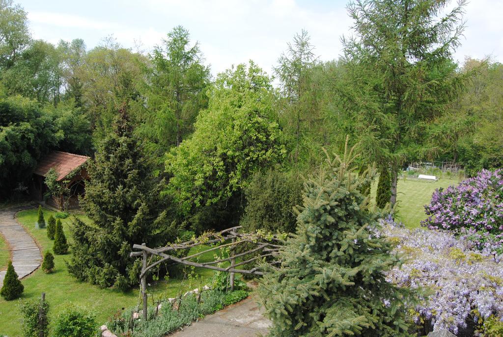 Villa Hedi Dunakiliti Exterior photo